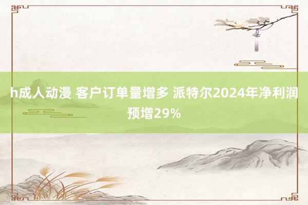 h成人动漫 客户订单量增多 派特尔2024年净利润预增29%