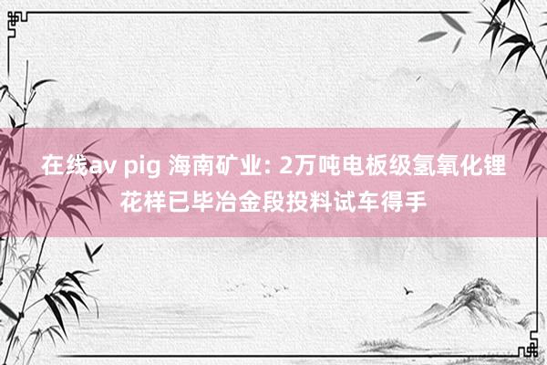 在线av pig 海南矿业: 2万吨电板级氢氧化锂花样已毕冶金段投料试车得手
